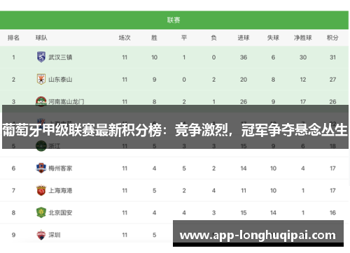 葡萄牙甲级联赛最新积分榜：竞争激烈，冠军争夺悬念丛生